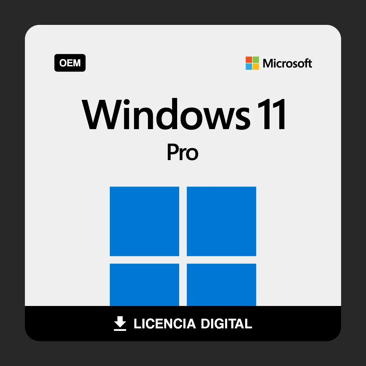 ak_prod_win_11_pro_oem Windows 11 Pro (OEM) - Imagen 1
